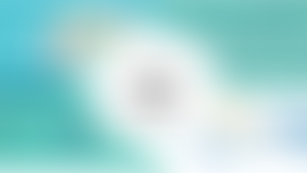 BCSDAustralia LEADER - August 2022 eNews