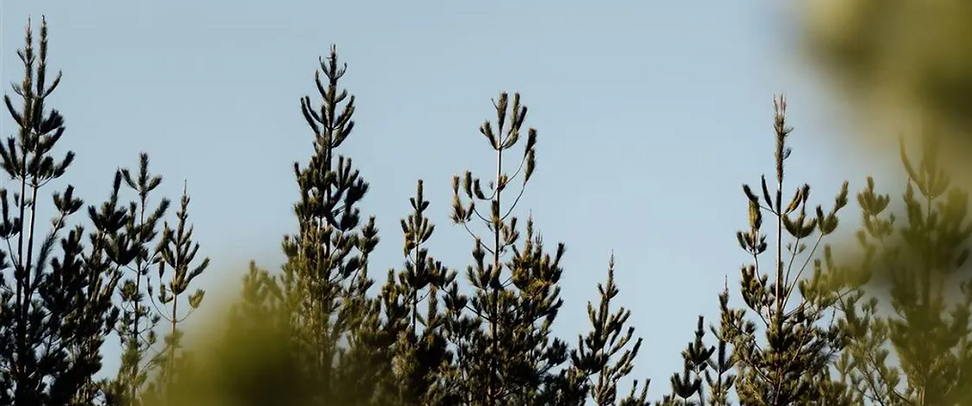 Screenshot 2025-12-09 at 11.05.25 am.png