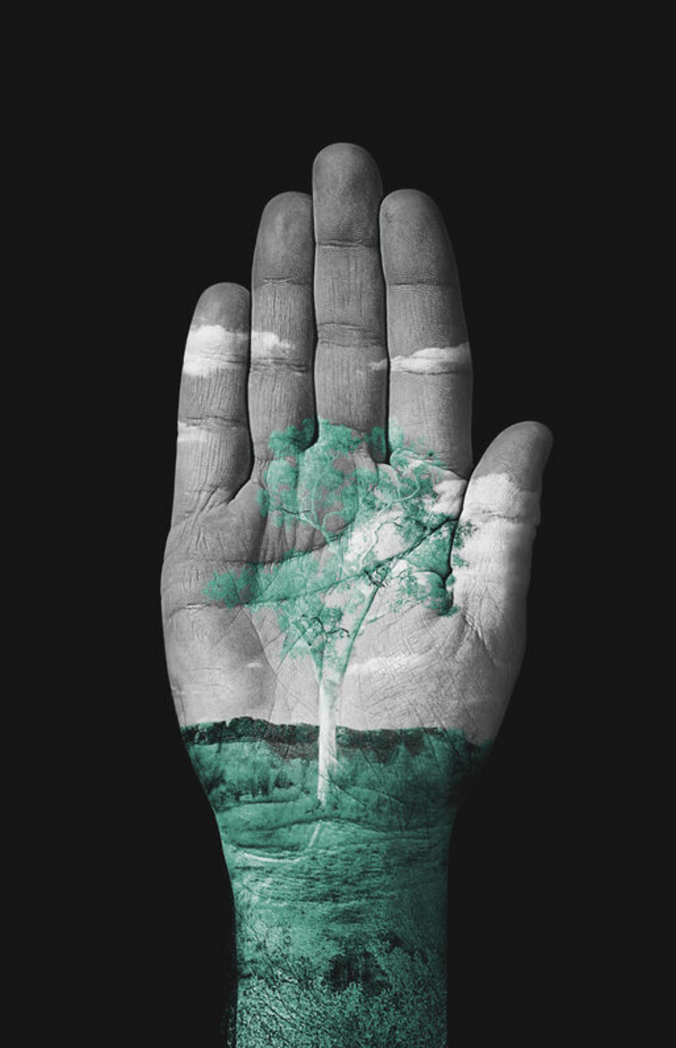 Reporting on Human Rights with the GRI Standards 2021 module