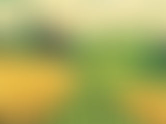 The Cost of Imports to South Sudan 