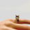 Miniatura: 3.3cts Natural Dark Red Zircon 925 Silver / Gold/ Platinum ring