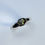 サムネイル： Natural Demantoid garnet unisex east west ring: 925 Silver / Gold/ Platinum