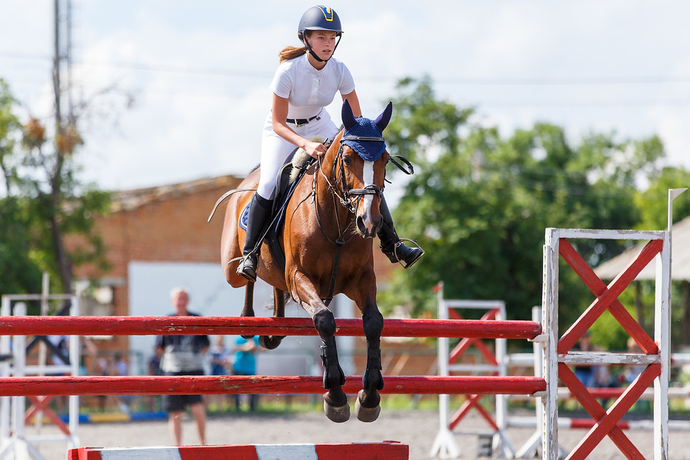 horseback riding