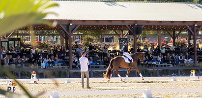 carl hester galway downs Entrigue masterclass
