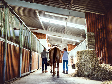 Crafting Impactful Equestrian Websites with Equestrian Web Services