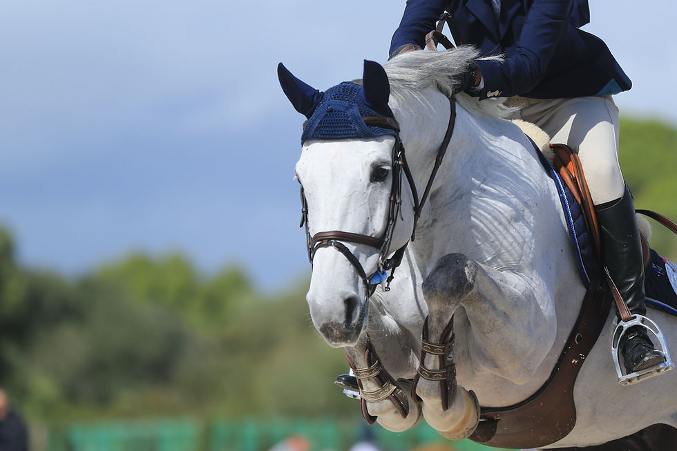 White horse and rider clearing a jump outdoors