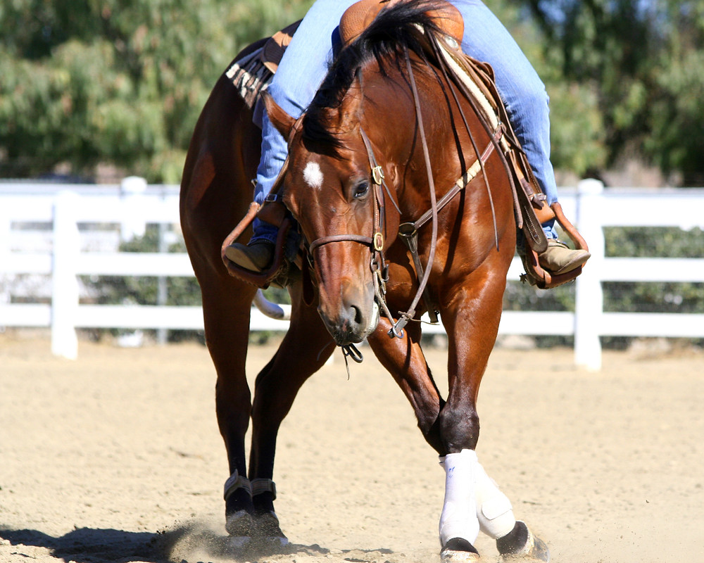 horseback riding 3
