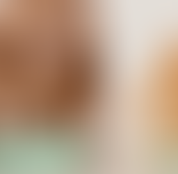 Um guia de como escolher a melhor ração