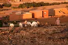 Auberge_Sremt_Experiences_Marocco_Village.webp