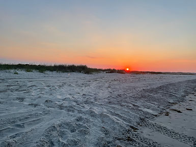 IMG_5471.JPG