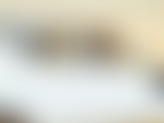 O que pode acontecer se uma empresa não pagar uma execução fiscal?