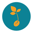 SurfMetrics - Logo(1).png