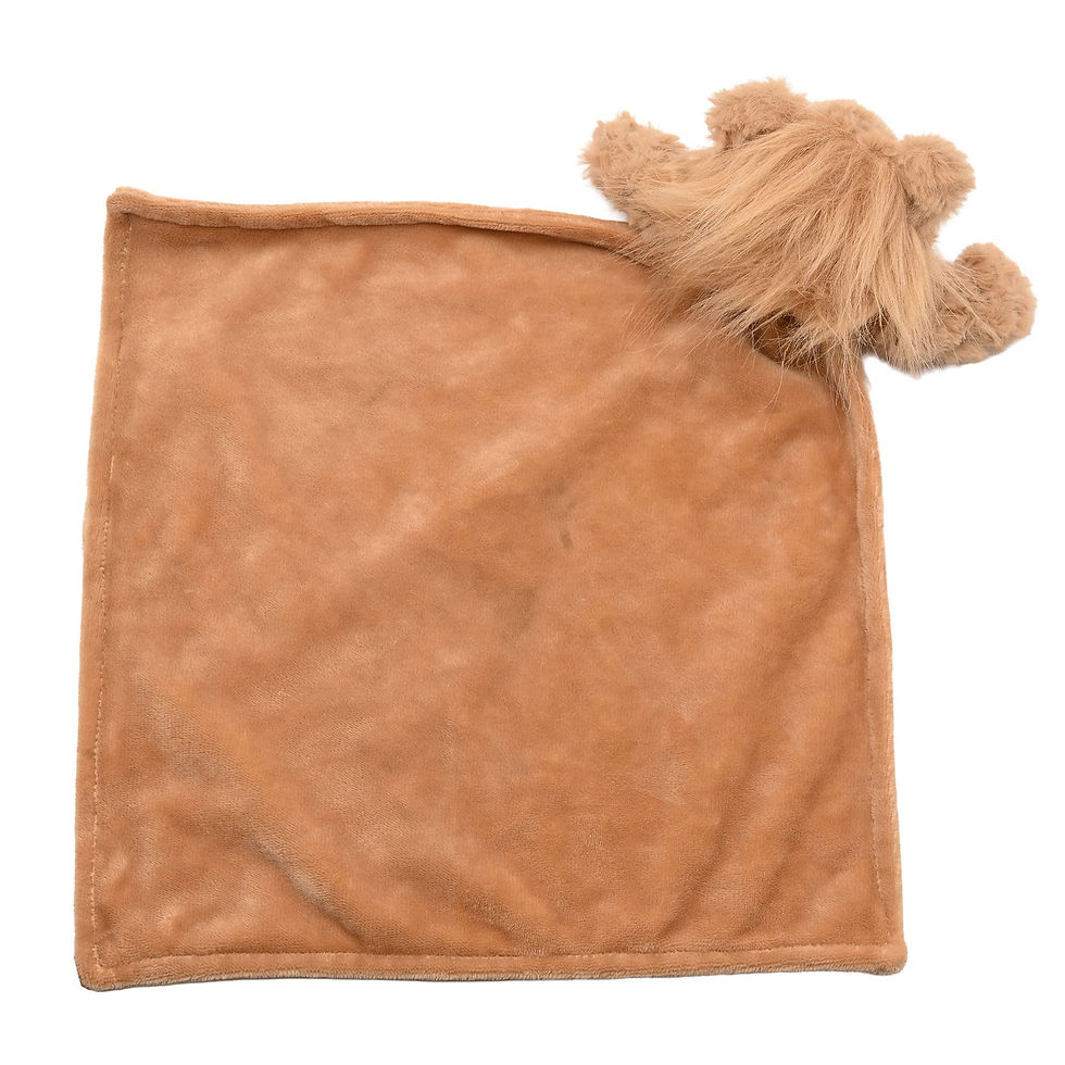 Thumbnail: Leo The Plush Lion - Baby Comforter