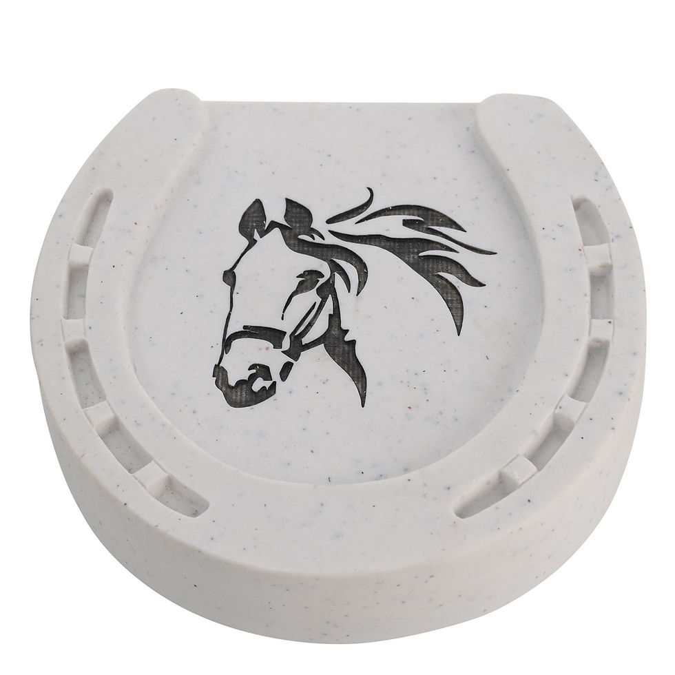 Thumbnail: Horse Memorial Plaque