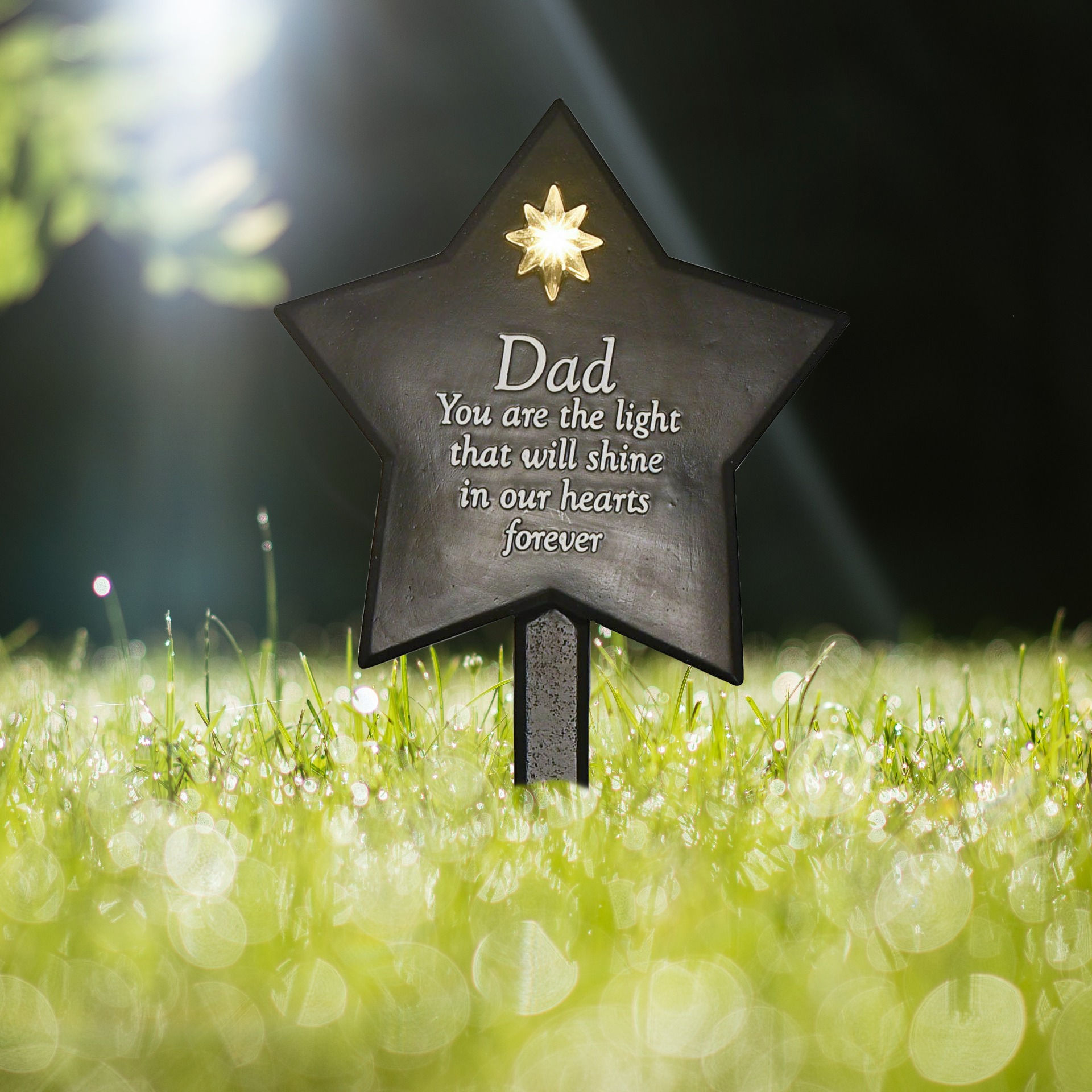 Dad Solar Light Up Star Memorial Stake