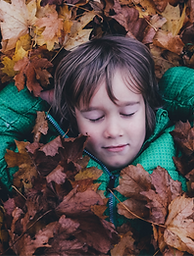 Boy under a leaf blanket_edited.png