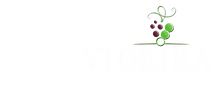 IEQ VIDEIRA wallpaper.png
