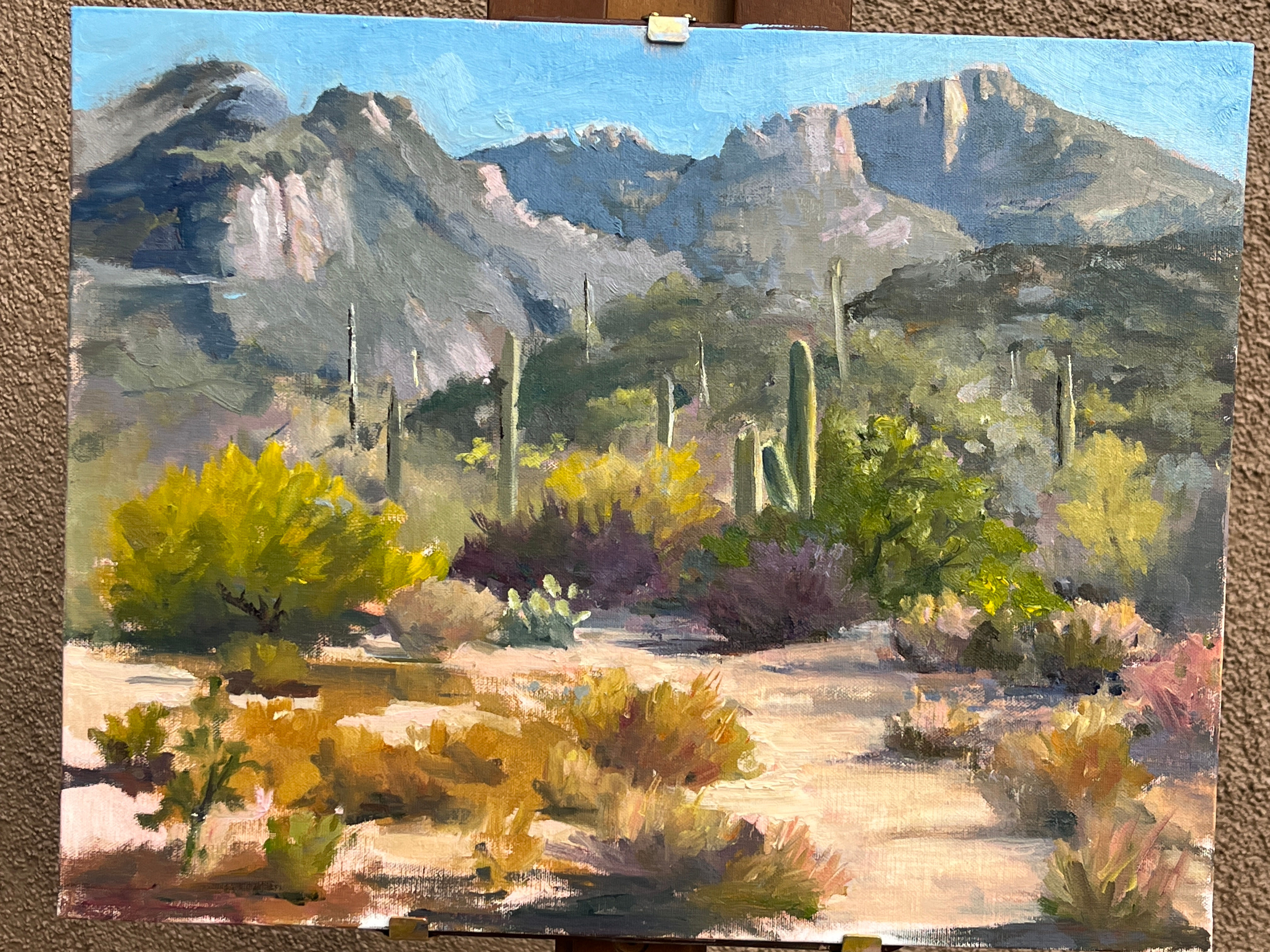 Desert Palette, Luann Dunphy