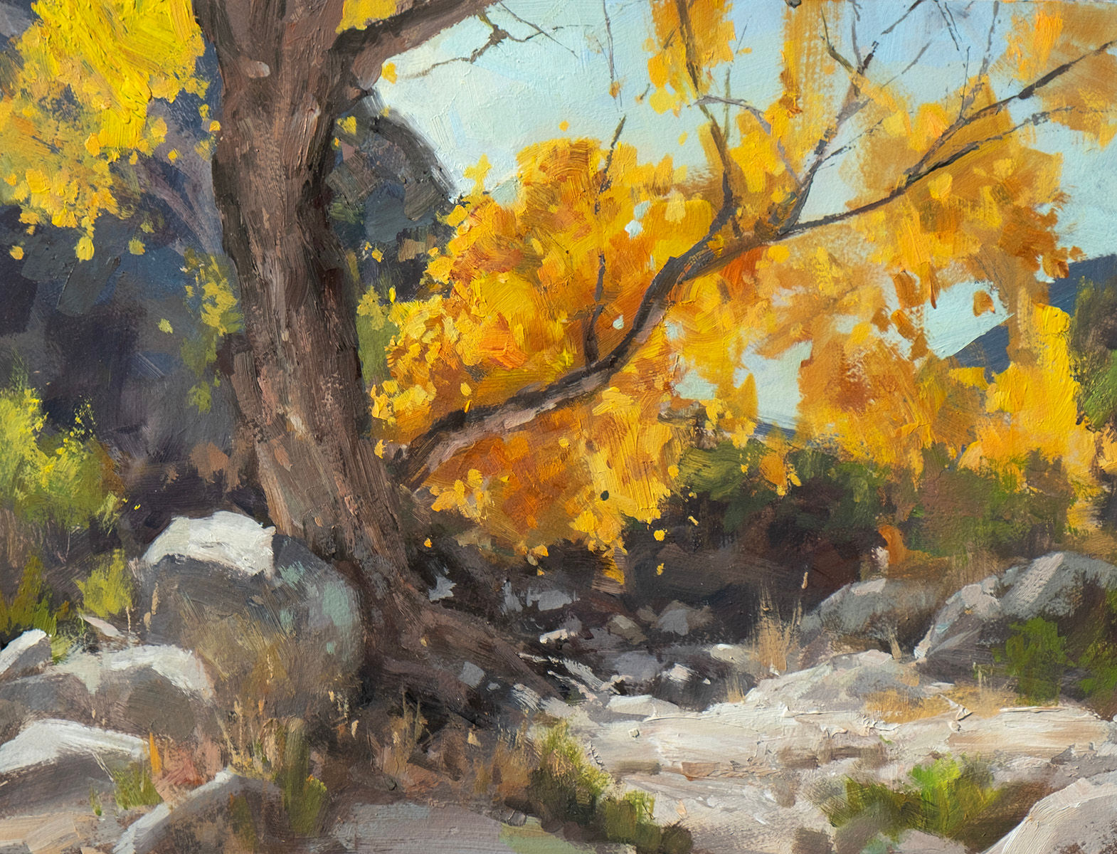 Pima Canyon Fall Colors