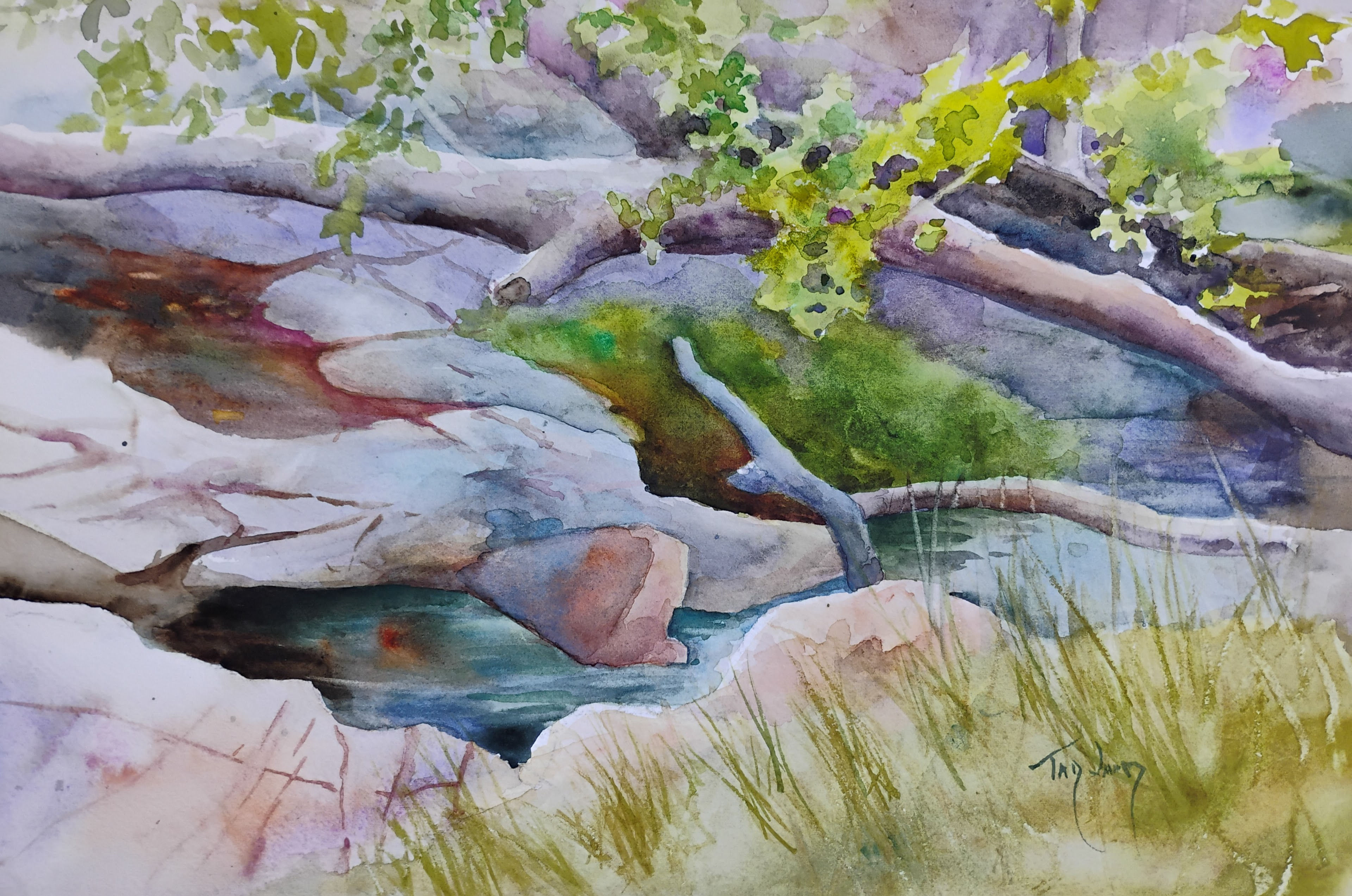 That Old Madera Sycamore, Tad Lamb