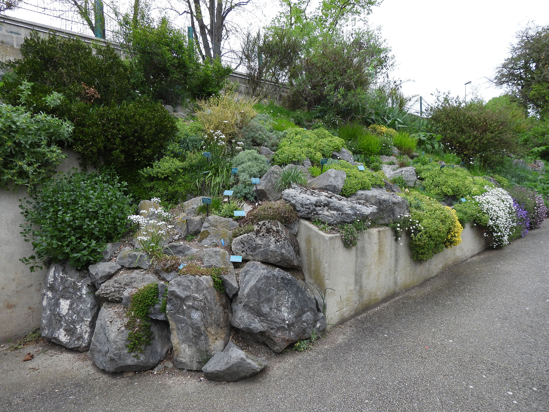Rock garden with herbs at the Botanical Garden