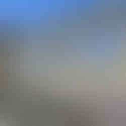 Elaborate gate, Torino