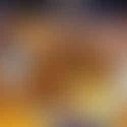 Pork chops at Gastropub, Athens