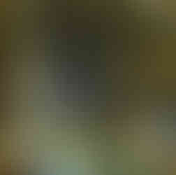 Vault dome, St Mary's Cathedral, Oradea