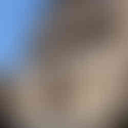 Former church building, Faenza