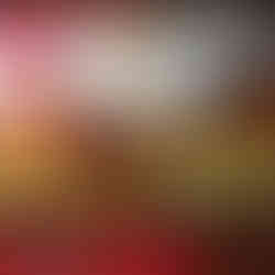 Chicken shahslik, Sofia retaurant