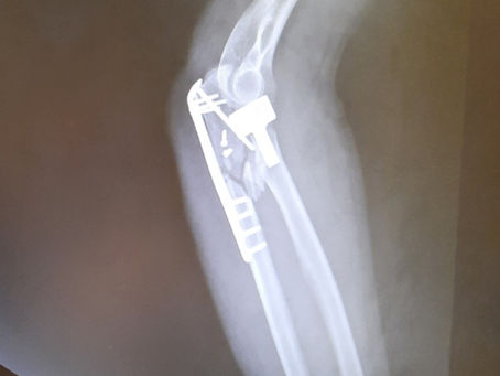 Cathedral discovered