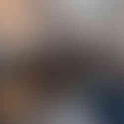 Be Winer tasting talk, Sofia Food Tasting Tour