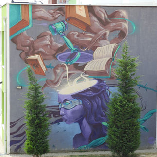 Street art: wall mural, Prishtina