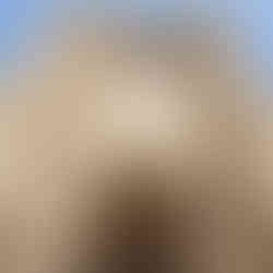 Entry portal, Selimiye Mosque/St Sophia Cathedral, Lefkosa