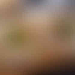 Toasted flatbread with turkey, at In's Arean Restaurant