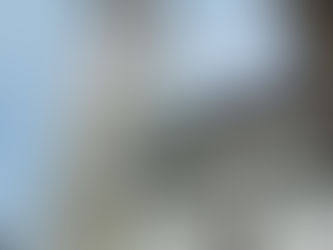 Cycling Along the Danube