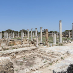 "Forest of Salamis", ruins at Salamis, Yeni Boğaziçi
