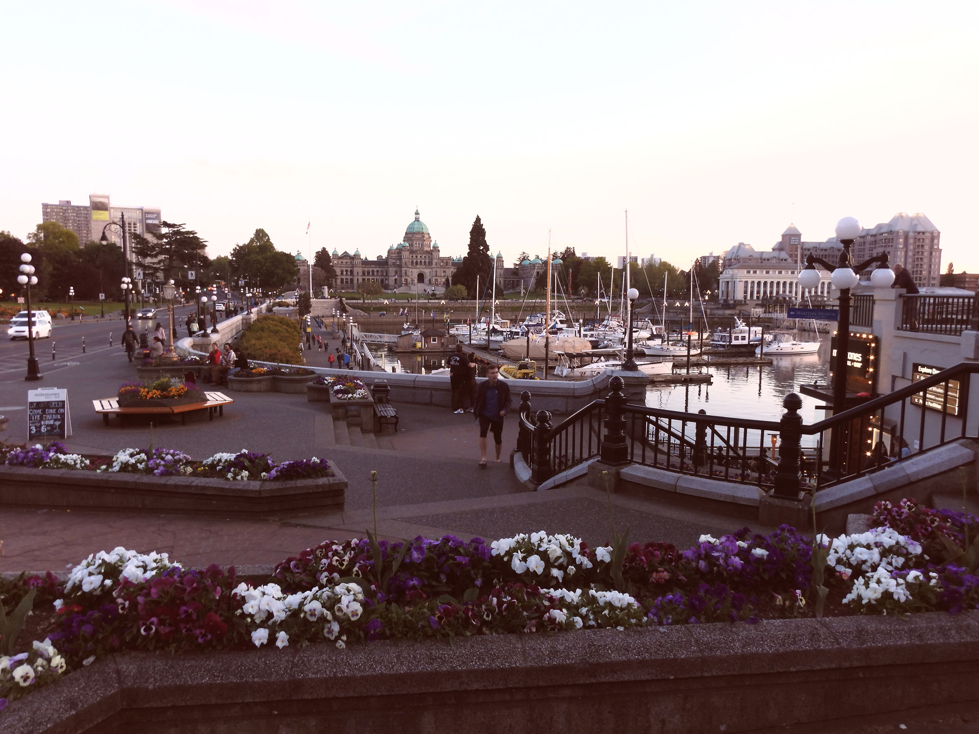 Victoria marina from Wharf Street
