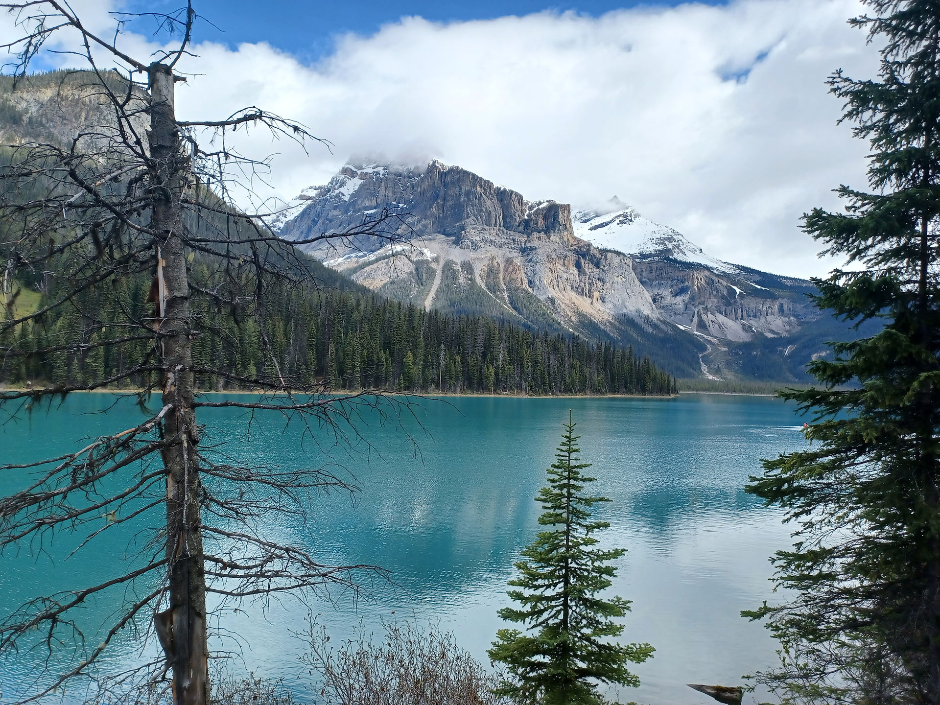 View of Emerald Lake, BC