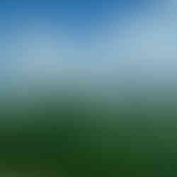 View from train between Cluj-Npoca and Brasov