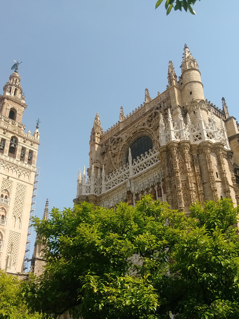 CATHEDRAL SPOTLIGHT