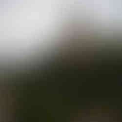 Approaching Three Hierarchs Cathedral, Timișoara, Romania