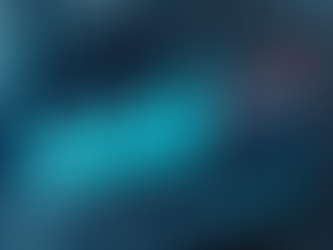 Google Ads vs Meta Ads ¿Cuál es la mejor opción y por qué es crucial contar con un presupuesto mensual fijo?