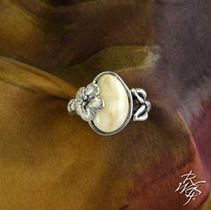 CATALOGPICS_0064.jpg
