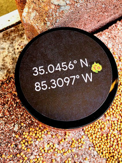 20210427_174955_edited_edited