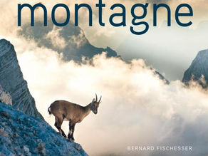 Les 4 livres indispensables pour la formation d'Accompagnateur en montagne