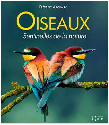 oiseaux sentinelles de la nature