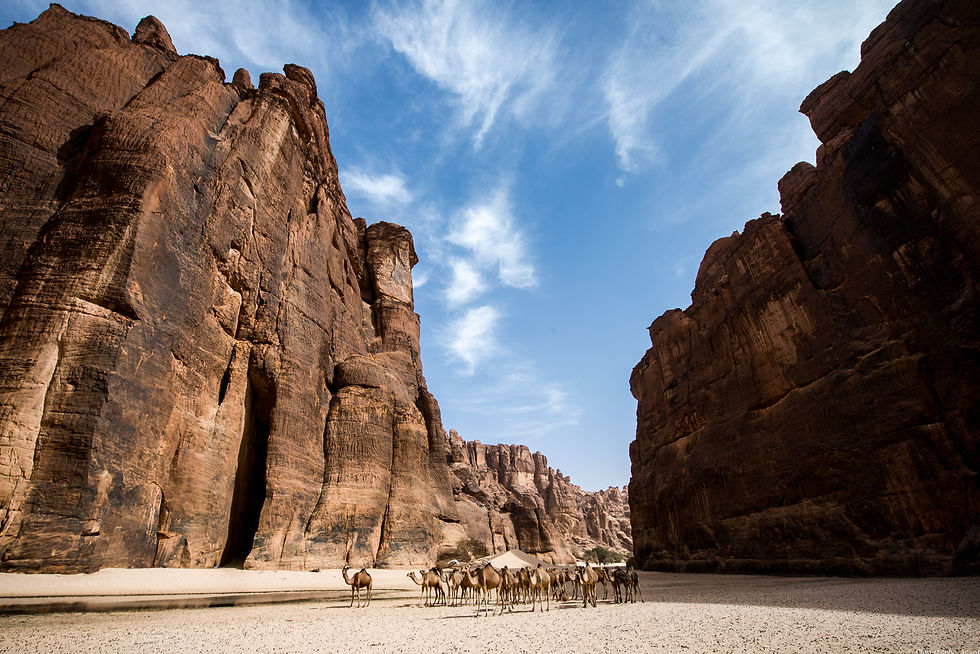 Guelta water - Tchad