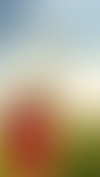 【海濤法語】以後的世界—我是佛教徒