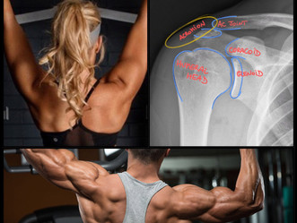 Acromion: One of the most important landmark of our body